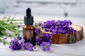 How do essential oils work?