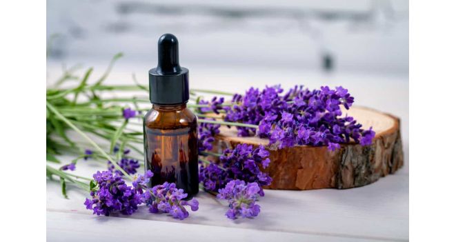 How do essential oils work?